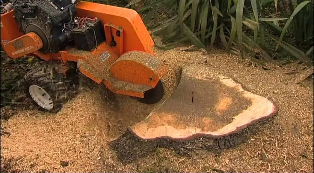 Stump Grinding & Removal